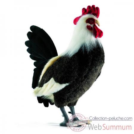 pti clein d'oeil a notr COQ sportiF national !